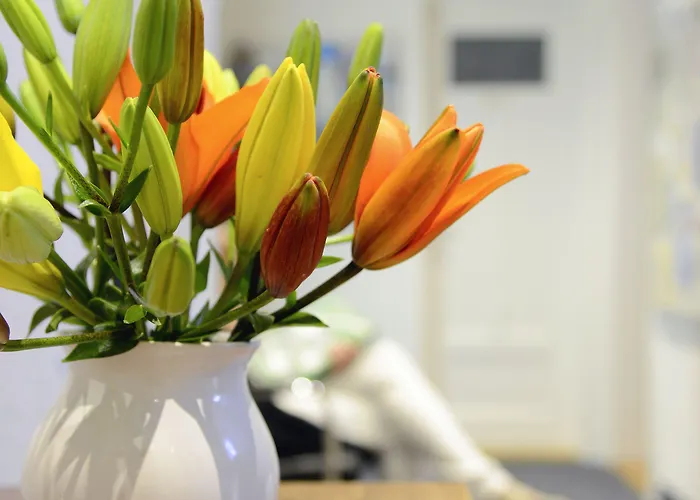 Hotell Marthahaus Bern